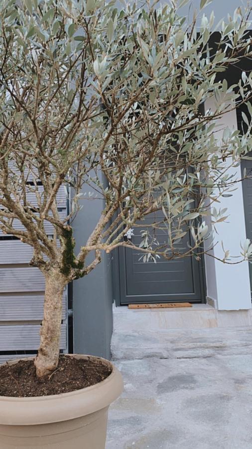 My Home Ioannina Extérieur photo